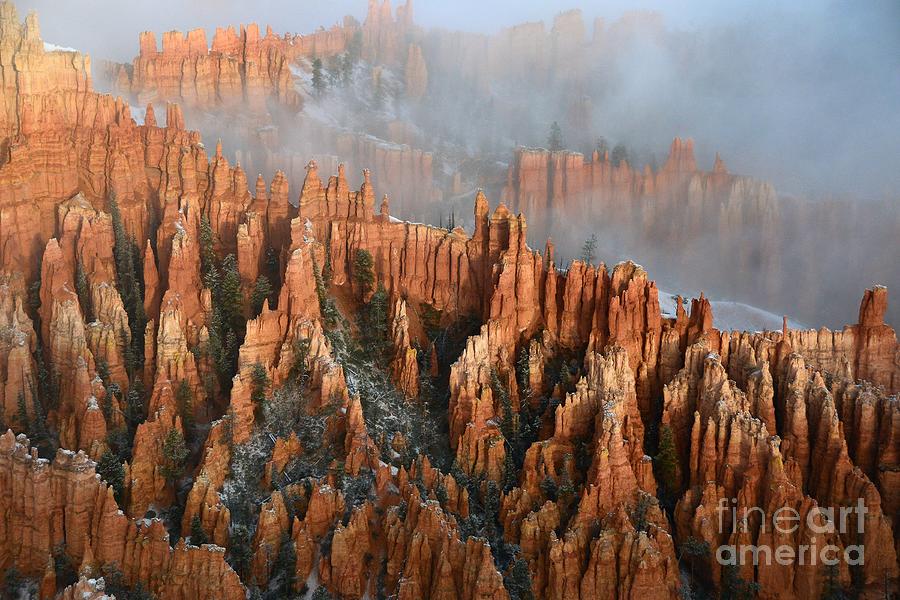 Bryce Canyon #5 Photograph by Marc Bittan