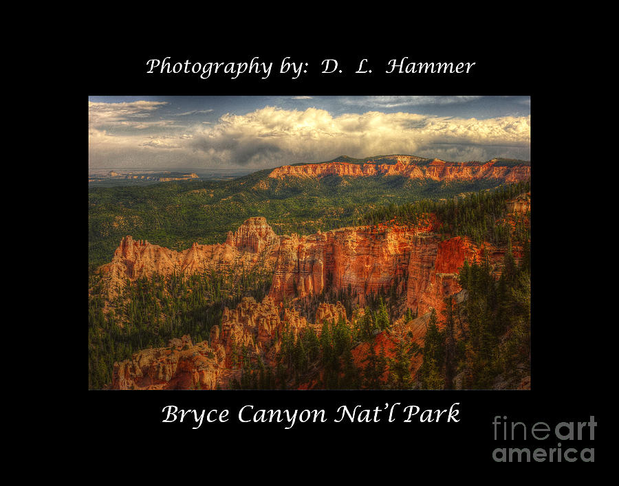 Bryce Canyon Natl Park #5 Photograph by Dennis Hammer