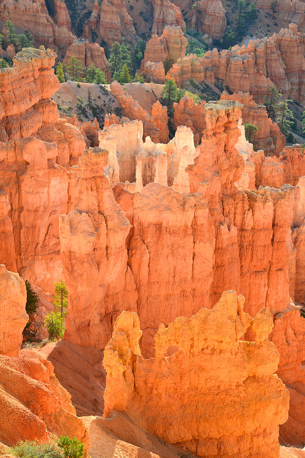 Bryce Canyon #8 Photograph by Ray Mathis