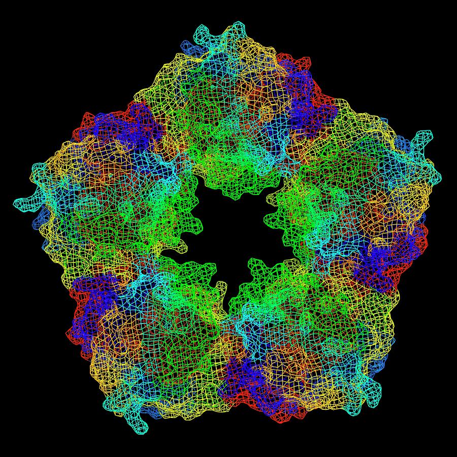 C-reactive Protein Photograph by Alfred Pasieka/science Photo Library ...