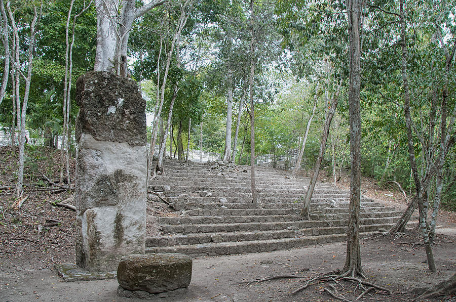Calakmul Mayan Ruins #5 Digital Art by Carol Ailles