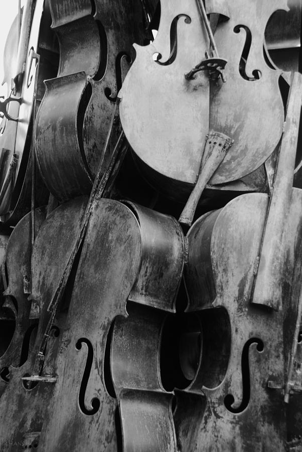 cello art black and white