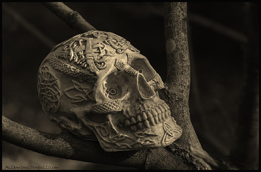 Celtic Skulls Symbolic Pathway to the other world #5 Photograph by LeeAnn McLaneGoetz McLaneGoetzStudioLLCcom