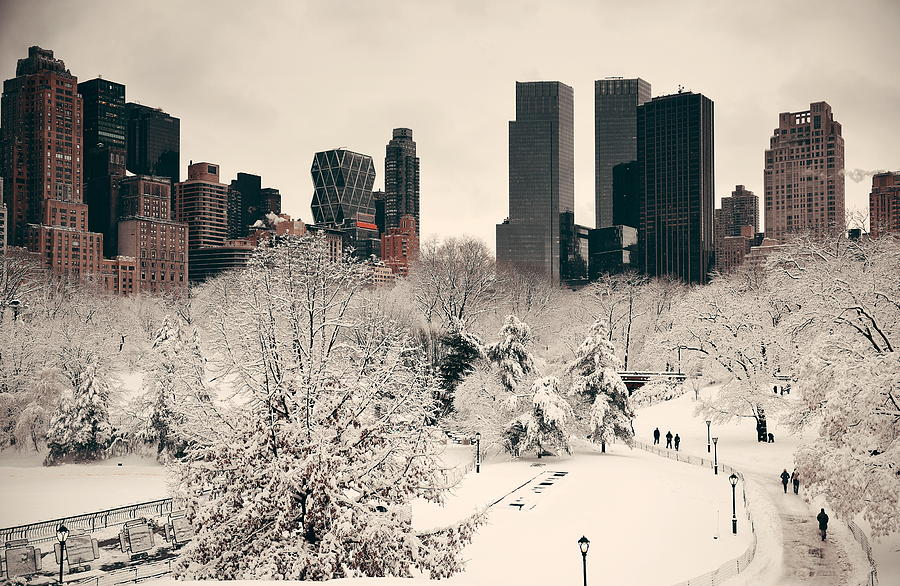 Central Park winter #5 Photograph by Songquan Deng