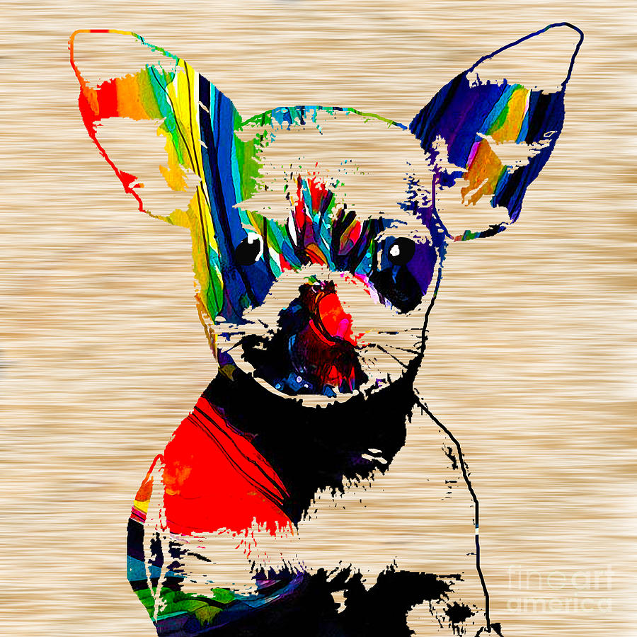 Chihuahua #5 Mixed Media by Marvin Blaine