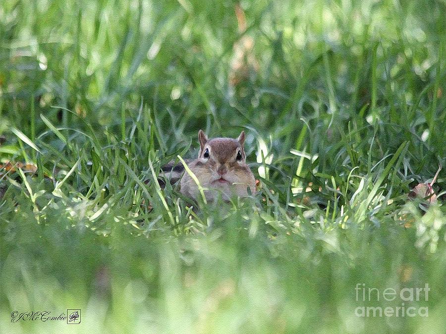 Nature Painting - Chipmunk #3 by J McCombie