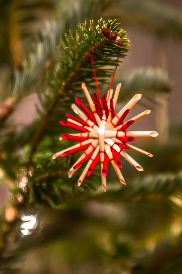 Christmas Tree Ornaments #5 Photograph by Alex Grichenko