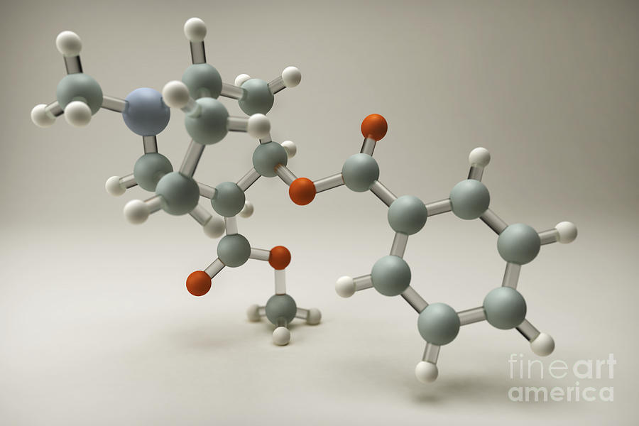 Cocaine Molecule #5 Photograph by Science Picture Co
