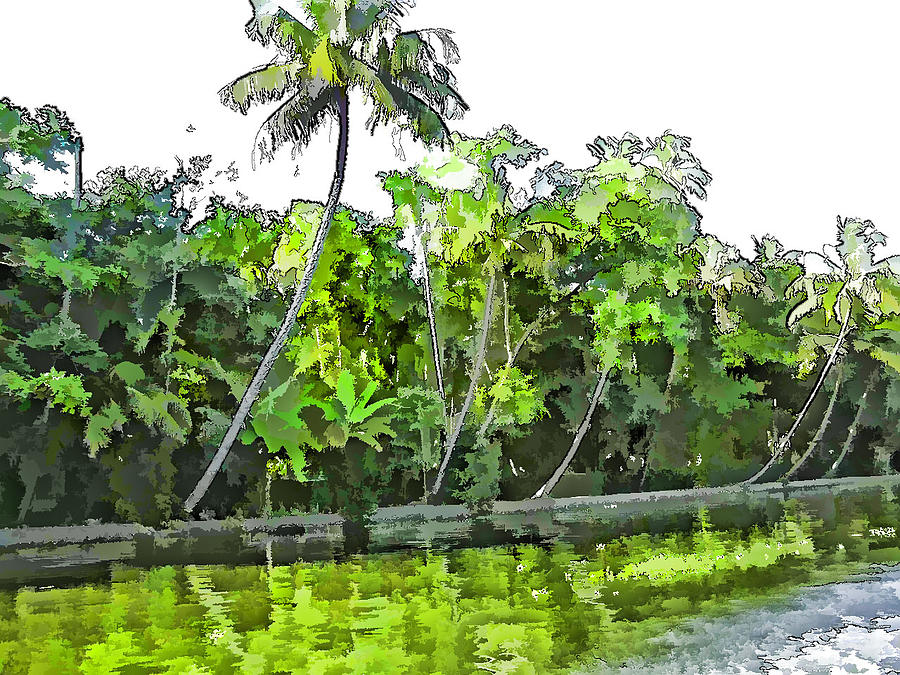 Coconut trees and other plants in a creek #5 Digital Art by Ashish Agarwal