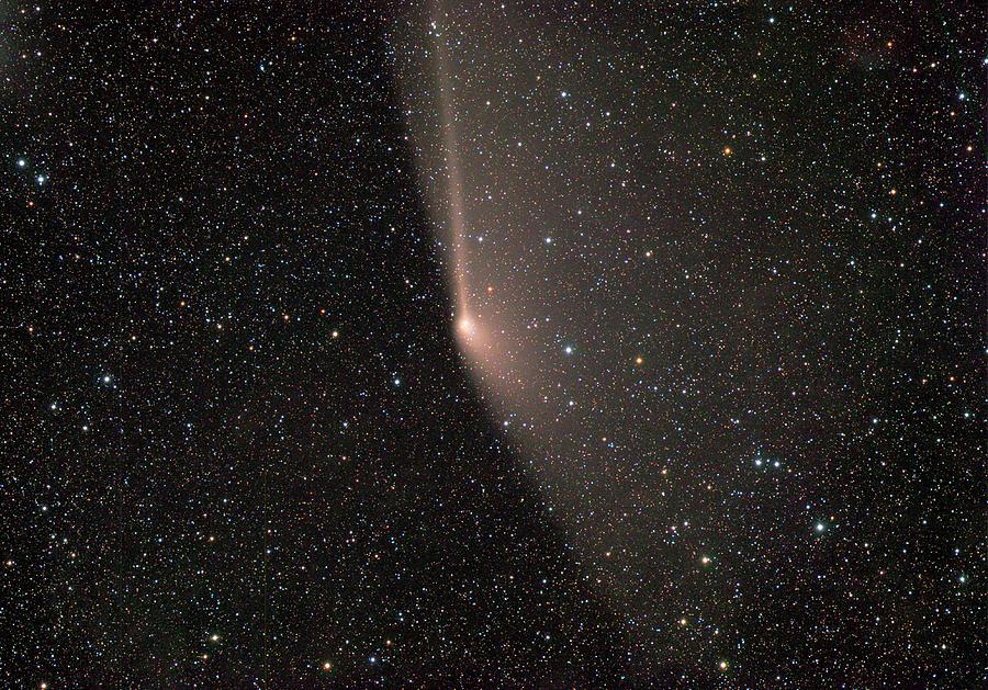 Comet C2011 L4 #5 Photograph by Damian Peach