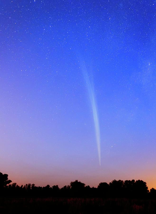 Comet Lovejoy #5 Photograph by Luis Argerich
