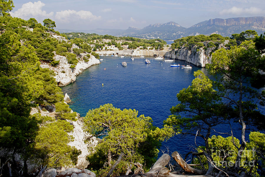 Stunning View At The Bay In Calanques At Cote D'azur Photograph by Maja ...