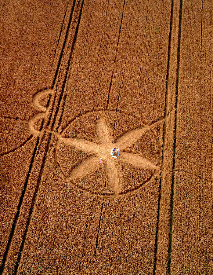 Crop Formation #5 Photograph by David Parker/science Photo Library