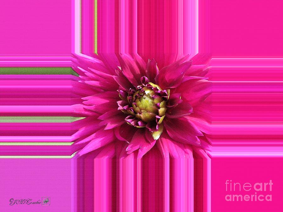 Dahlia named Andreas Dahl #5 Painting by J McCombie