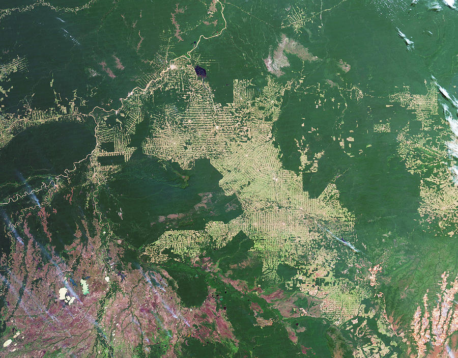 Deforestation In The Amazon #5 Photograph by Nasa Earth Observatory