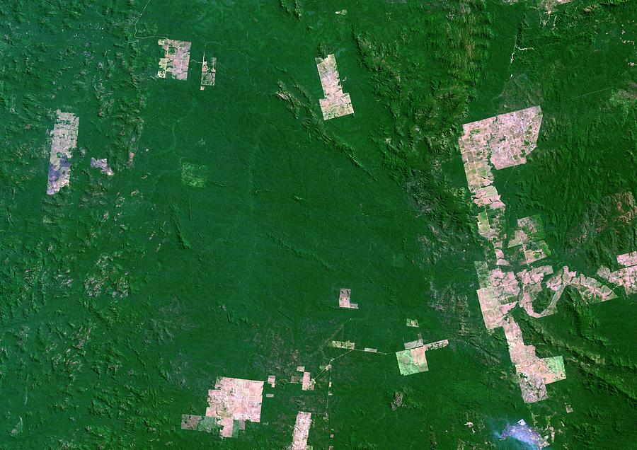 Deforestation In The Amazon #5 Photograph by Planetobserver/science Photo Library