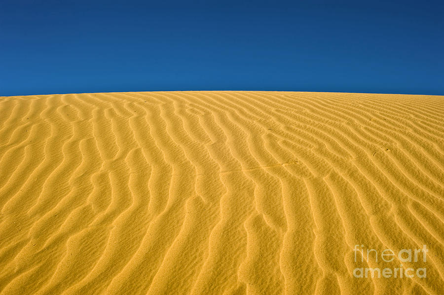 Desert sand dune  #5 Photograph by Ezra Zahor