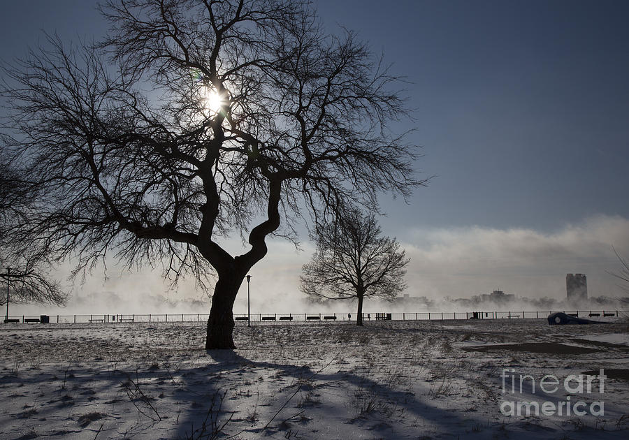 Detroit Winter Photograph by Jim West