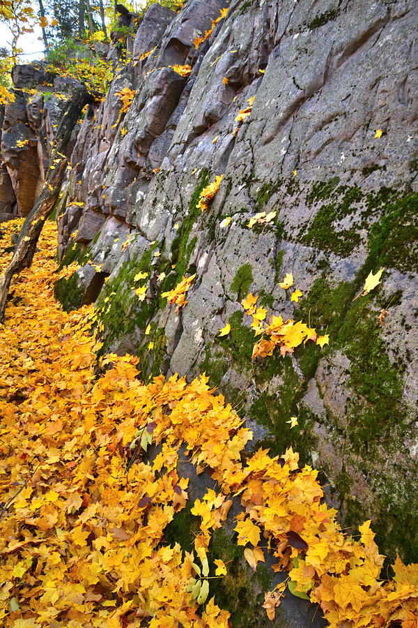 Devil’s Lake Fall Color Photograph by Ray Mathis | Fine Art America