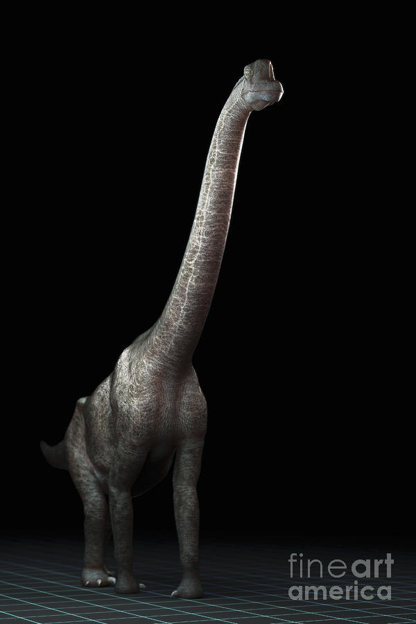 Dinosaur Brachiosaurus #5 Photograph by Science Picture Co