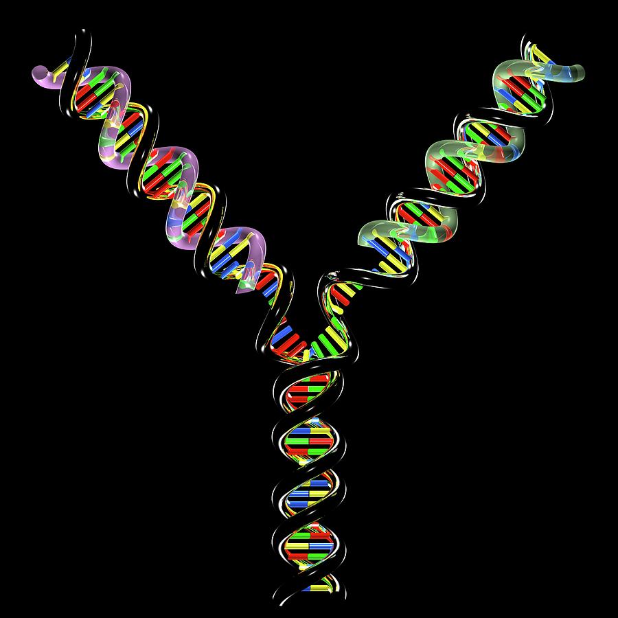 Base Photograph - Dna Replication #5 by Russell Kightley