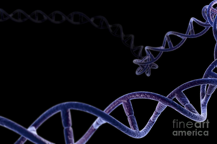 Dna #5 Photograph by Science Picture Co