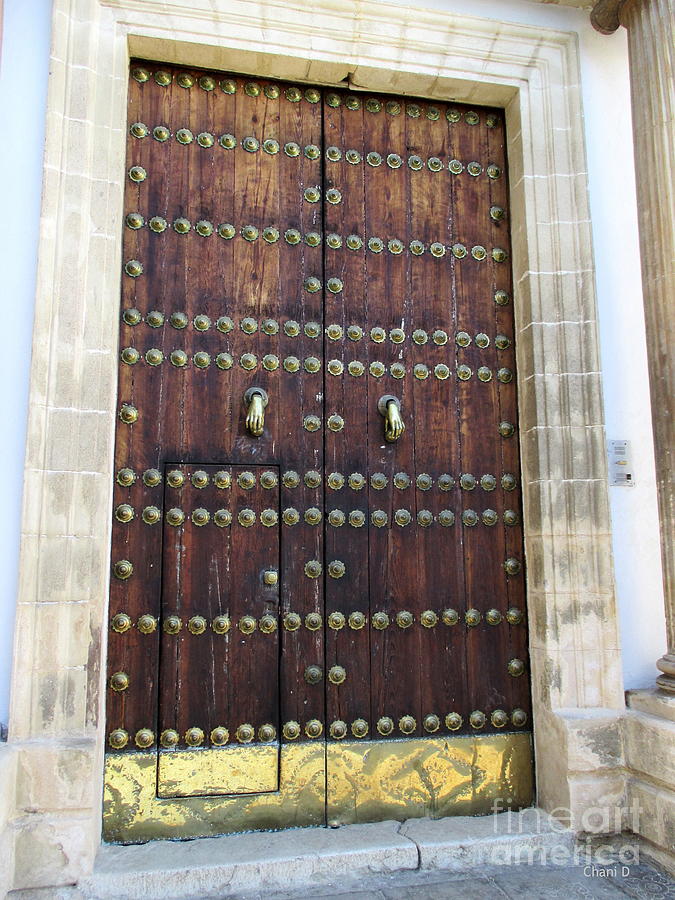 Door in Jerez #7 Photograph by Chani Demuijlder