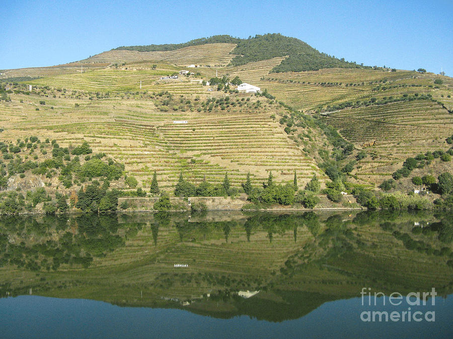 Douro River Valley #5 Photograph by Arlene Carmel