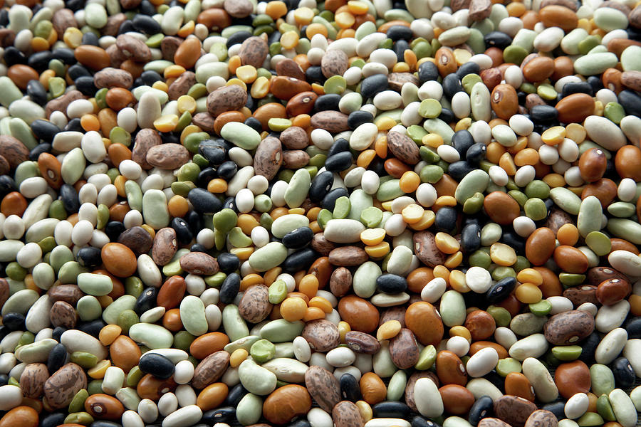 Dried Pulses #5 Photograph by Claudia Dulak / Science Photo Library ...