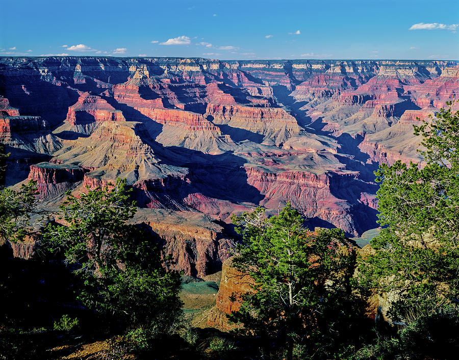 Grand Canyon National Park Photograph - Elevated View Of The Rock Formations #5 by Panoramic Images