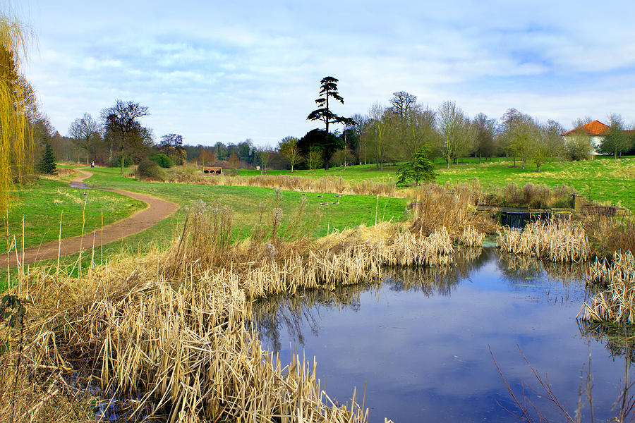 English Countryside Scene On A Cold Winter Day Photograph By Fizzy Image