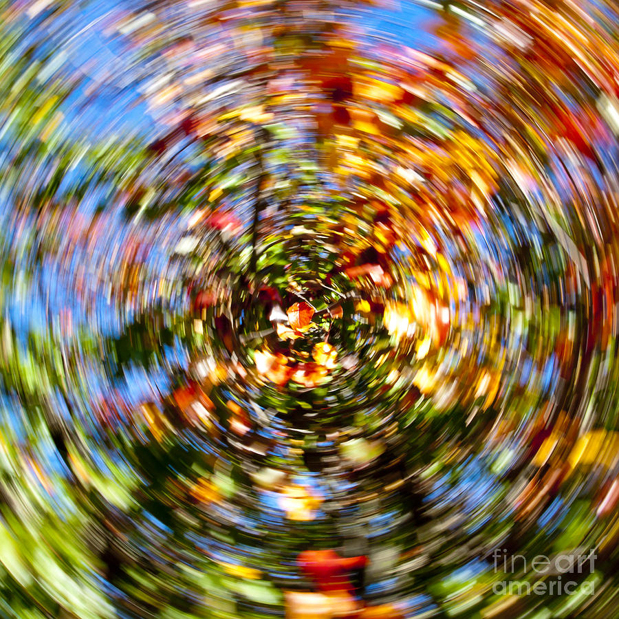 Fall abstract #5 Photograph by Steven Ralser