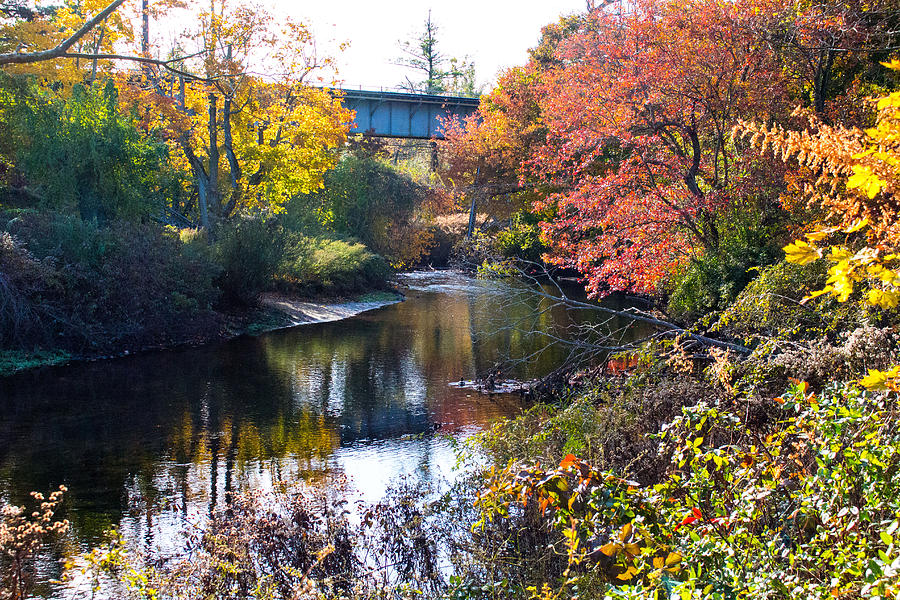 Fall Foliage at Nissequogue River #5 Photograph by Susan Jensen