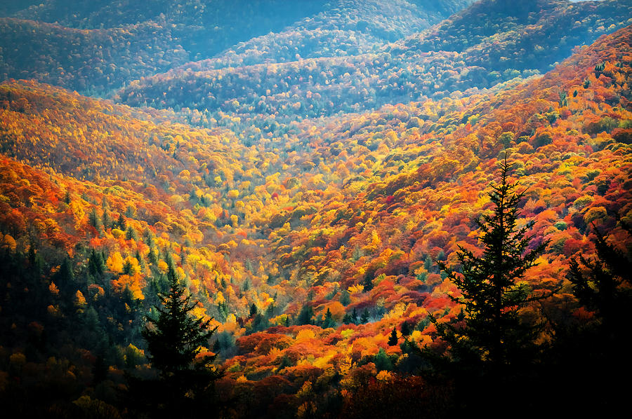 Fall Foliage Great Smoky Mountains Painted #4 Photograph by Rich Franco