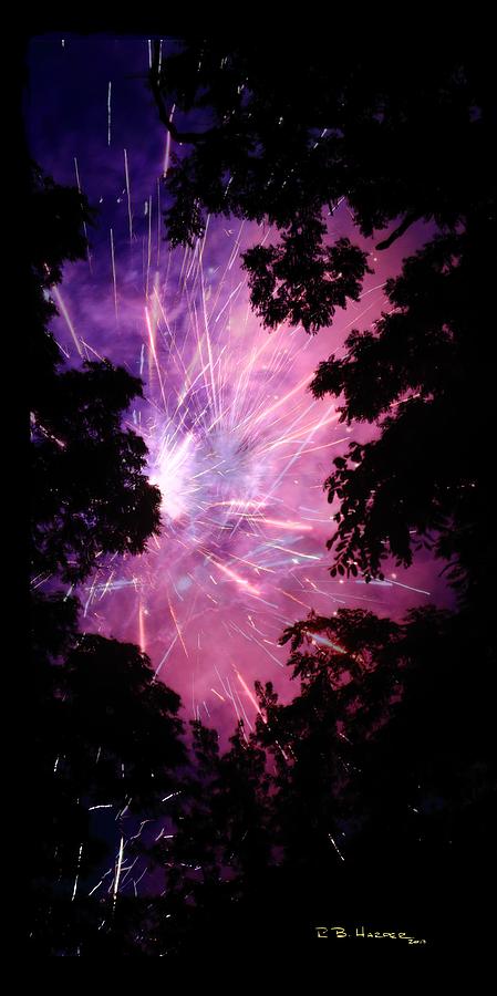 Fireworks Forest #5 Photograph by R B Harper