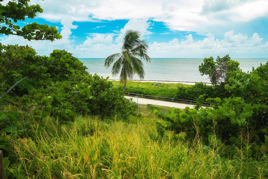 Florida Keys #5 Photograph by Raul Rodriguez