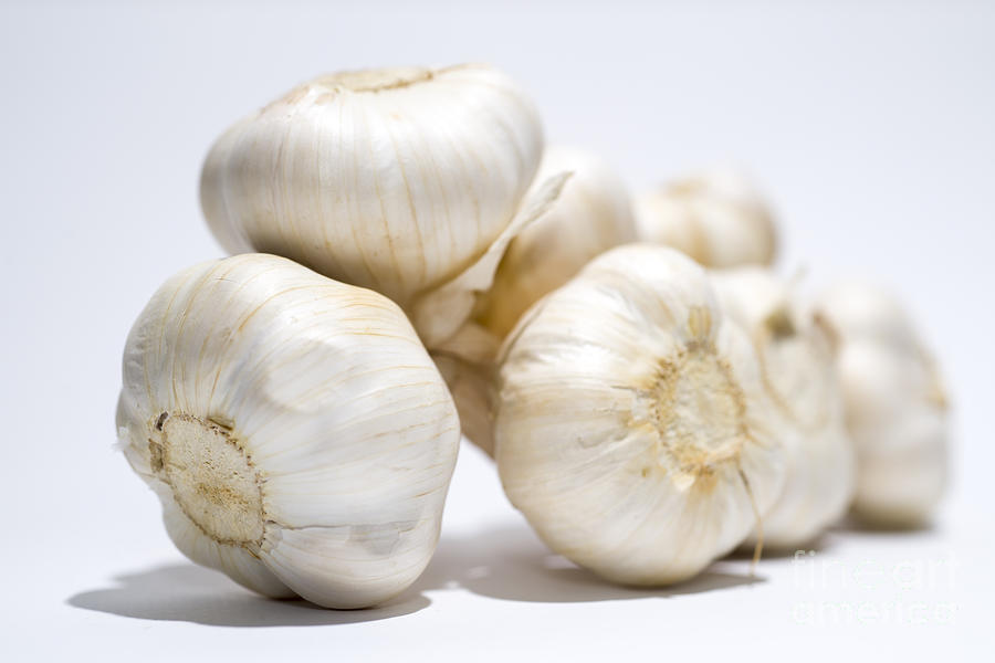 Vegetable Photograph - Garlic #5 by Mats Silvan