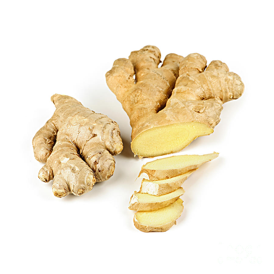 Ginger root 1 Photograph by Elena Elisseeva