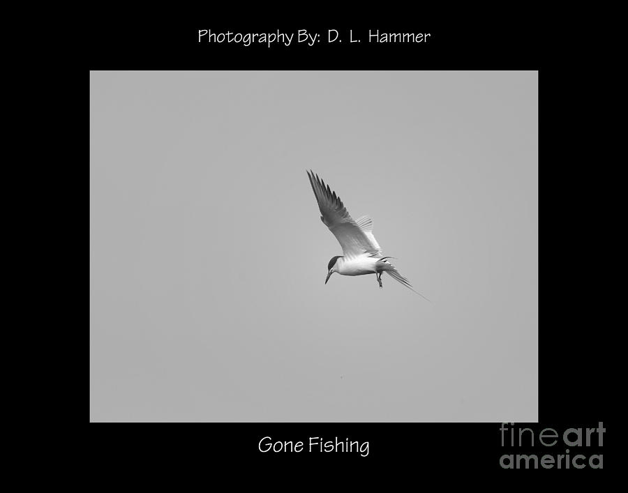 Gone Fishing #5 Photograph by Dennis Hammer