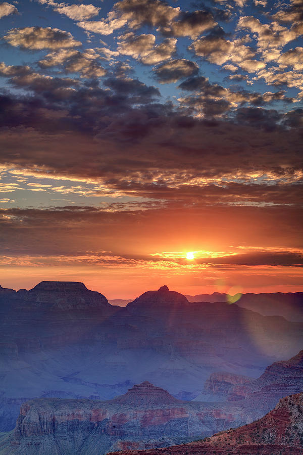Grand Canyon National Park #5 Photograph by Michele Falzone