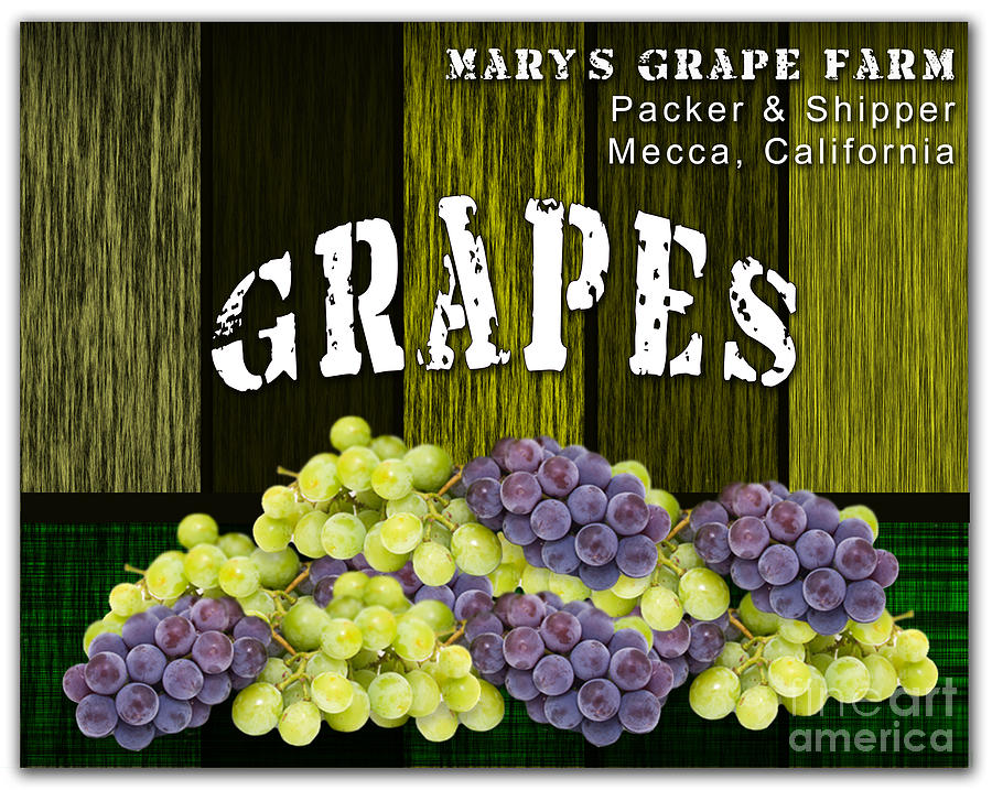 Grape Farm #5 Mixed Media by Marvin Blaine