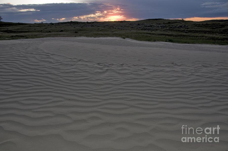 Nature Photograph - Great Sand Hills, Saskatchewan #5 by Mark Newman