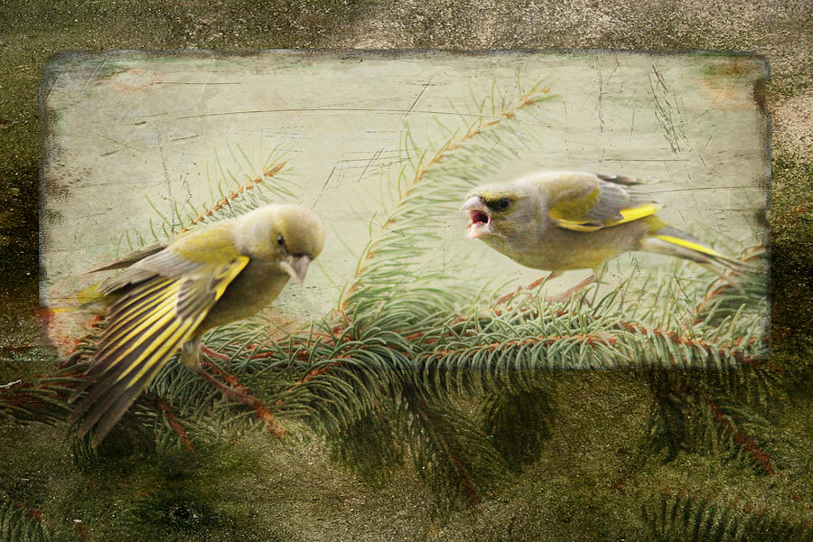 Animal Mixed Media - Greenfinch  #5 by Heike Hultsch