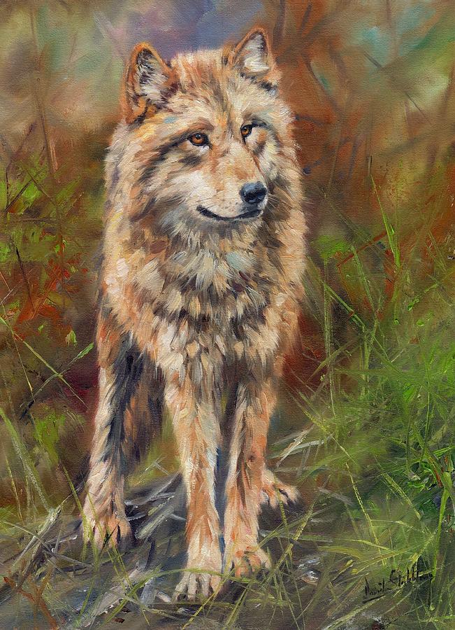 Wolves Painting - Grey Wolf #5 by David Stribbling