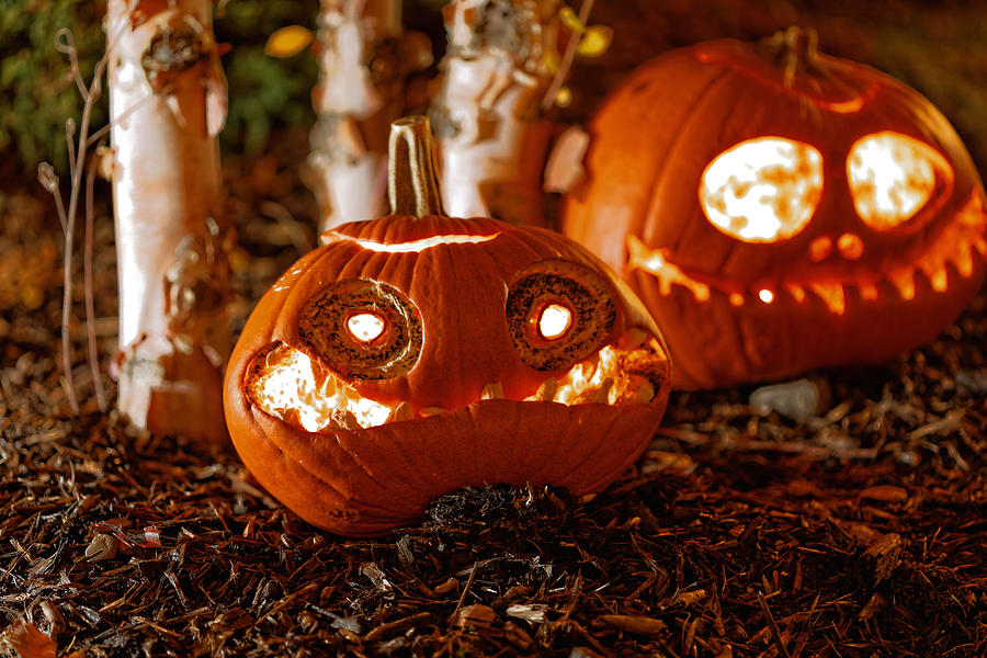 Fall Photograph - Halloween Pumpkin #5 by Peter Lakomy