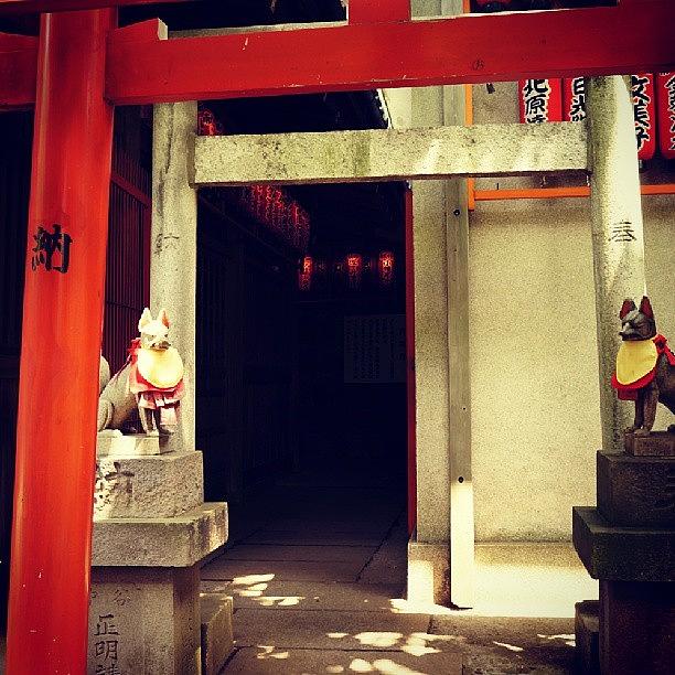 Fox Photograph - Hanazono Inari Shrine #5 by My Senx