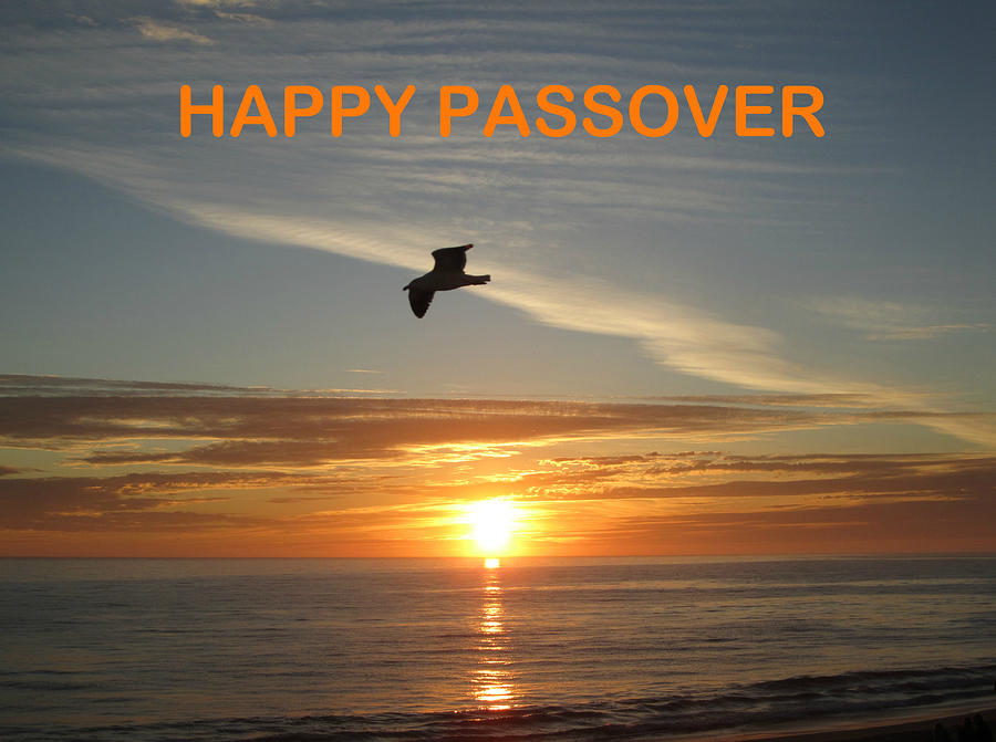 Happy Passover #5 Photograph by John Shiron