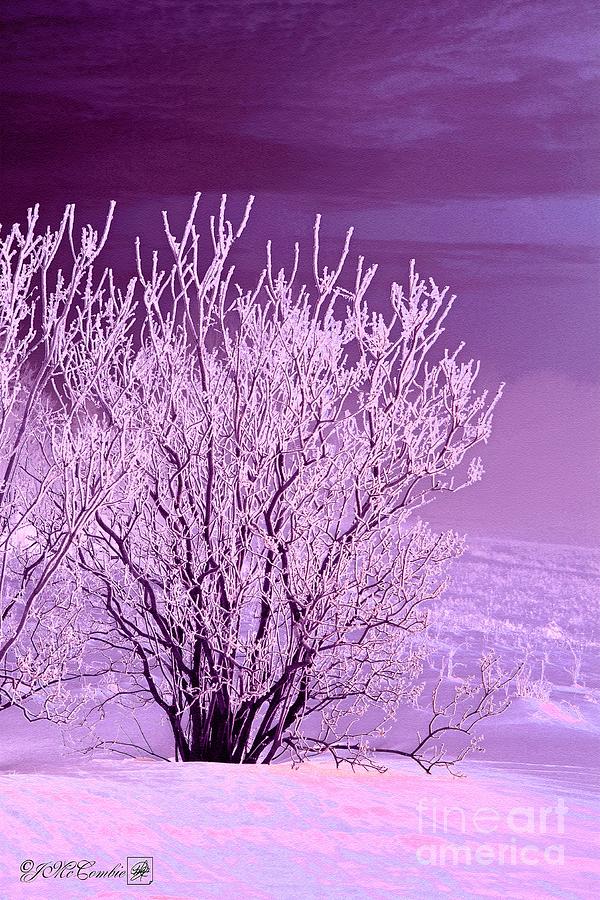 Hoar Frost on the Lilac Bush #5 Painting by J McCombie