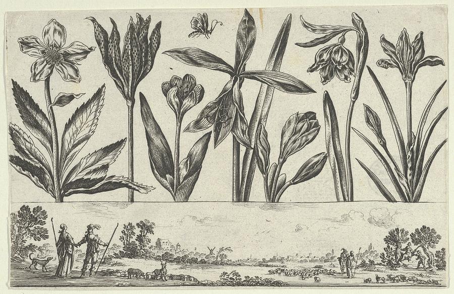 Paris Drawing - Horizontal Panel With A Row Of Flowers #5 by Nicolas Cochin