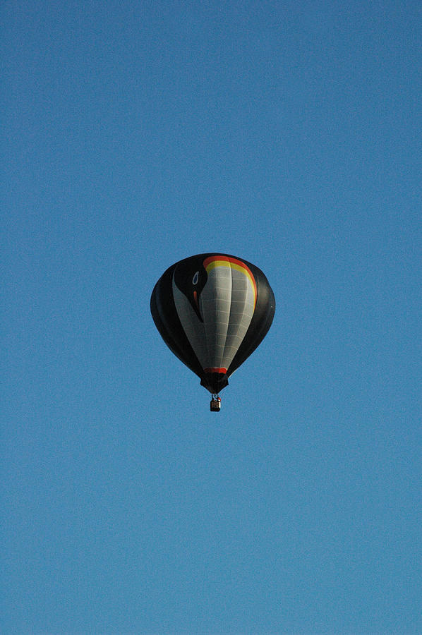 Hot Air Photograph - Hot Air Balloon #5 by Gary Marx